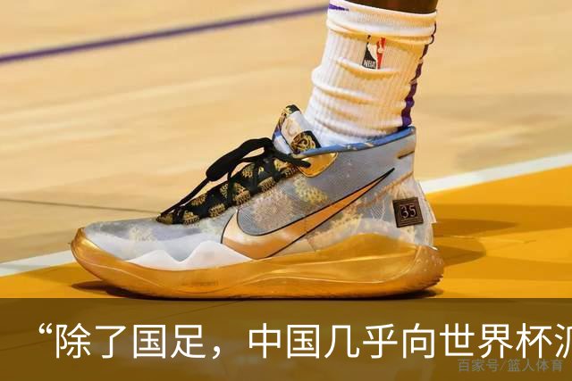 “除了国足，中国几乎向世界杯派去了一切”