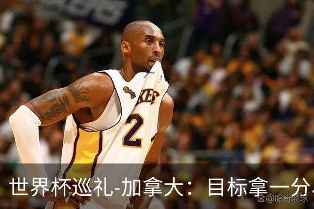 世界杯巡礼-加拿大：目标拿一分、赢一场，晋级32强