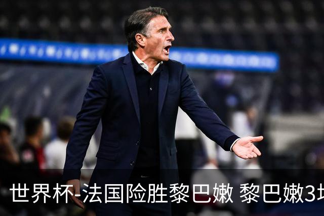 世界杯-法国险胜黎巴嫩 黎巴嫩3场合计输100分