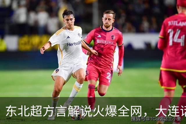 东北超方言解说火爆全网，大连话解说员王玉龙引热议