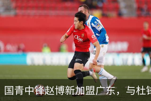 国青中锋赵博新加盟广东，与杜锋合作或迎新机遇