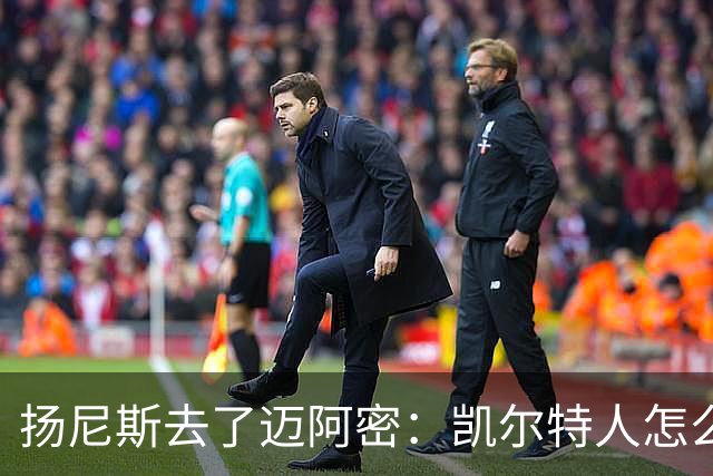 扬尼斯去了迈阿密：凯尔特人怎么办？